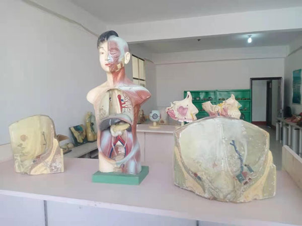 医学标本
