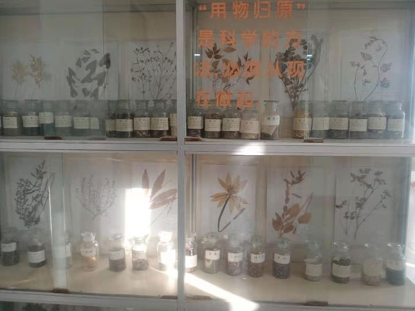 中药标本室