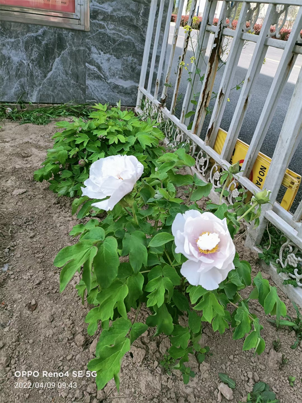 校园实景